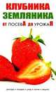 Клубника. Земляника: Рассада, посадка, уход, полив, защита, 