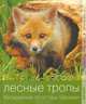 Лесные тропы. Бескрайние просторы Евразии, 