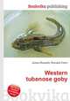 Western tubenose goby, Jesse Russell,Ronald Cohn 