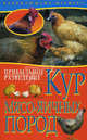 Прибыльное разведение кур мясо-яичных пород. Начинающему Фермеру., Анастасия Колпакова 