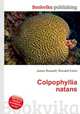 Colpophyllia natans, Jesse Russell,Ronald Cohn 