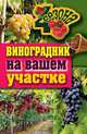 ЧетыреСезона.Виноградник на вашем участке, Животовская Екатерина Васильевна 