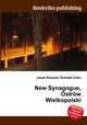 New Synagogue, Ostrow Wielkopolski, Jesse Russell,Ronald Cohn 