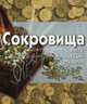 Сокровища: факты, находки, открытия (+ CD-ROM), Мерфи Глен 