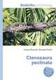 Ctenosaura pectinata, Jesse Russell,Ronald Cohn 