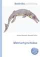 Metriorhynchidae, Jesse Russell,Ronald Cohn 