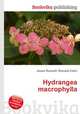 Hydrangea macrophylla, Jesse Russell,Ronald Cohn 