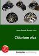 Cittarium pica, Jesse Russell,Ronald Cohn 