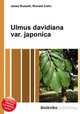 Ulmus davidiana var. japonica, Jesse Russell,Ronald Cohn 