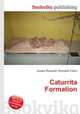 Caturrita Formation, Jesse Russell,Ronald Cohn 