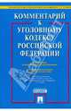 Комментарий к уголовному кодексу Российской Федерации, Грачева Юлия Викторовна, Ермакова Ленина Дмитриевна 
