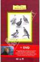 Драма на охоте. Повести и рассказы (+DVD), Чехов Антон Павлович 