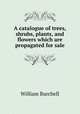 A catalogue of trees, shrubs, plants, and flowers which are propagated for sale, William Burchell 