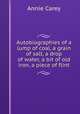 Autobiographies of a lump of coal, a grain of salt, a drop of water, a bit of old iron, a piece of flint, Annie Carey 