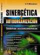 Sinergetica y autoorganizacion: Sistemas socioeconomicos, V. P. Milovanov 