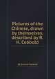 Pictures of the Chinese, drawn by themselves, described by R.H. Cobbold, By Richard Cobbold 