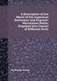 A Description of the Works of the Ingenious Delineator and Engraver Wenceslaus Hollar, Disposed Into Classes of Different Sorts, By George Vertue 