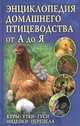 Энциклопедия домашнего птицеводства от А до Я. Куры, утки, гуси, индейки, перепела / Крылов П., Крылов П. 