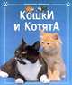 Кошки и котята, Кэтрин Старк 
