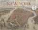 Historic maps and views of New York, Vincent Virga 