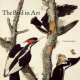 The Bird in Art, Caroline Bugler 