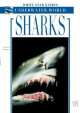 Sharks, Angelo Mojetta 