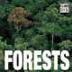 Forests, Valeria. M. Fabianis 