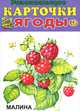 Ягоды (набор из 12 карточек), 