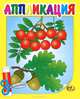 Рябина. Аппликация, 