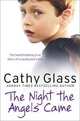 The Night the Angels Came, Cathy Glass 