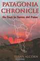 Patagonia Chronicle: On Foot in Torres del Paine, Susan Alcorn 