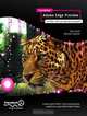 Foundation Adobe Edge Animate: for HTML5, CSS3, and JavaScript Development, Tom Green, Michael Clawson 