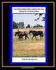 The Thoroughbred Female Families that Have Dominated the Racing World (Volume 1), Sarah A Montgomery 