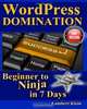 WordPress Domination - Beginner to NINJA in 7 Days: In Just Seven Days, You Can Go From Wordpress Zero To Wordpress Hero, Lambert Klein 