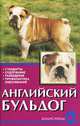Английский бульдог, В. И. Круковер 
