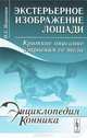 Экстерьерное изображение лошади: краткое описание строения ее тела, О. С. Пашкевич 