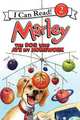 Marley: The Dog Who Ate My Homework, Grogan John 