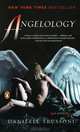 Angelology, Daniel Trussoni 