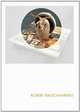 Robert Rauschenberg. Phaidon Focus, Craft Catherine 
