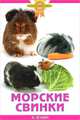 Морские свинки, А. О