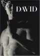 Michelangelo`s David, Aurelio Amendola 