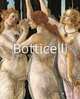 Boticelli. Masters of Art, Poletti Frederico 