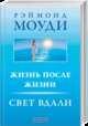 Жизнь после жизни: Свет вдали., Моуди Рэймонд А. 