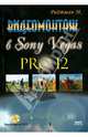Видеомонтаж в Sony Vegas Pro 12 (+ DVD), Райтман Михаил Анатольевич 