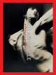 David LaChapelle: Burning Beauty, Steorn Patrik 