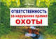 Ответственность за нарушение правил охоты, Круглов В.А.. 