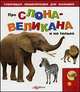 Про слона-великана и не только. Книжка-игрушка, 