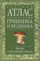 Краткий атлас-справочник грибника и ягодника, Г. Н. Огуреева 