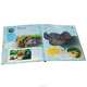 Disney Fairies: The Ultimate Guide to the Magical World, 