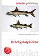 Brachyplatystoma, Jesse Russell,Ronald Cohn 